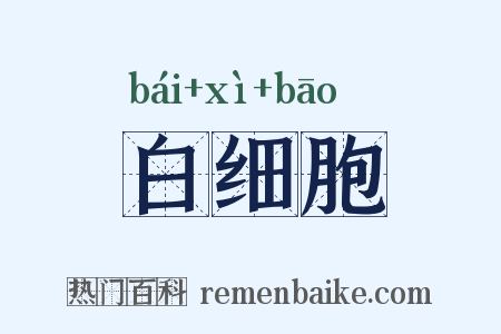 白细胞是什么意思的图片